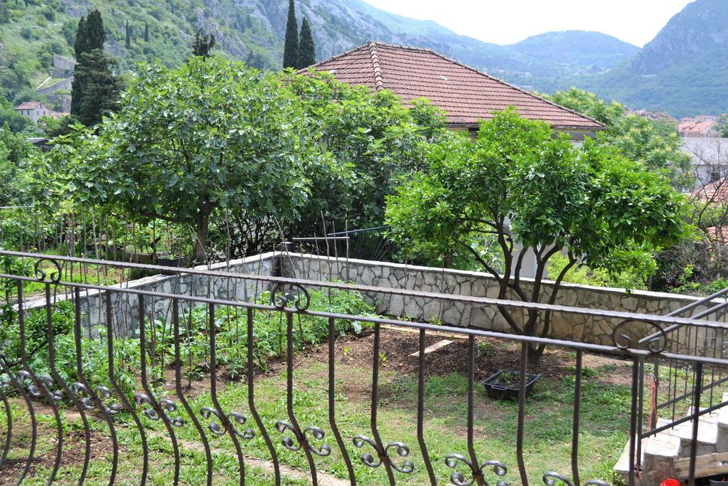 Apartments Villa Marta - Begovic Kotor Exterior photo